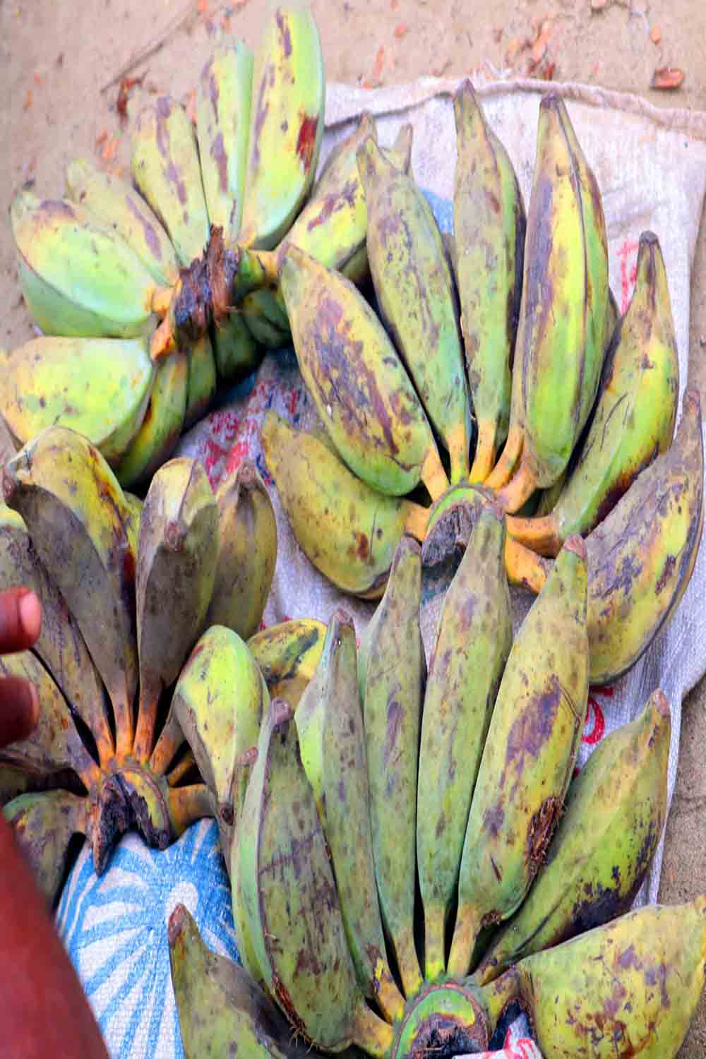 Kola Fruits Photography in Bangladesh pinterest preview image.