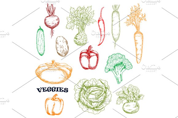 Vegetables sketches in retro style cover image.