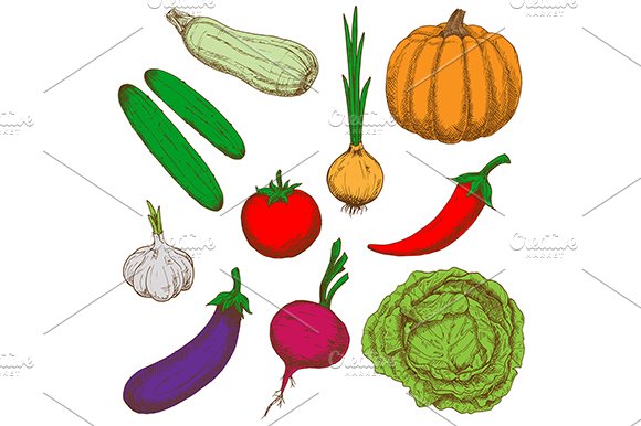 Color sketches of healthy vegetables cover image.