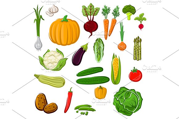 Ripe vegetables cover image.