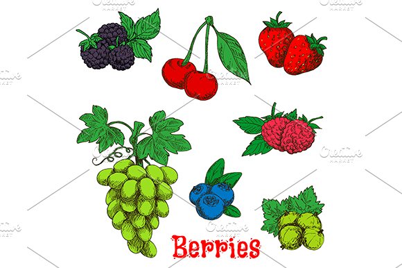 Colorful appetizing berries cover image.