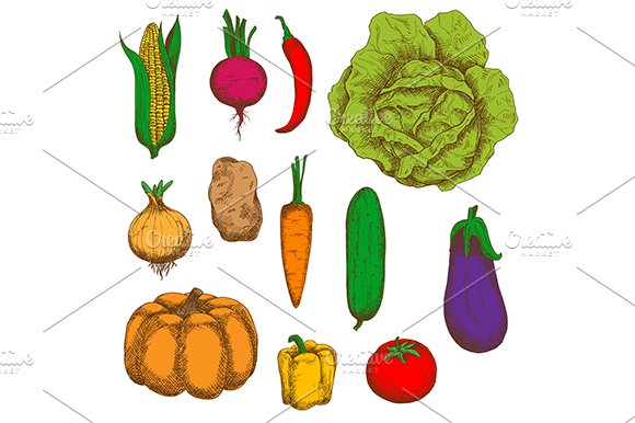 Organically grown fresh veggies cover image.