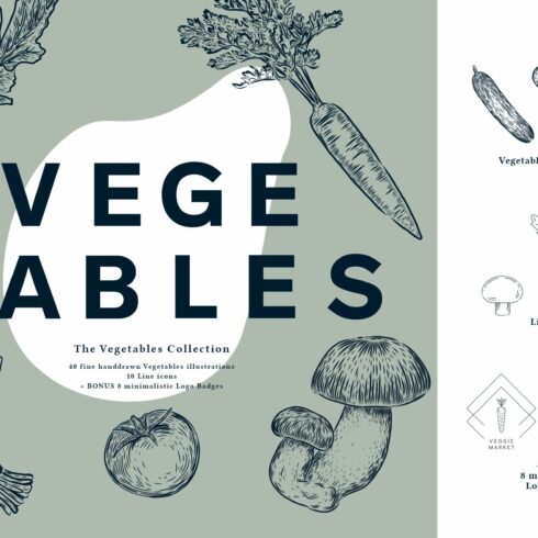 The Vegetables Collection cover image.