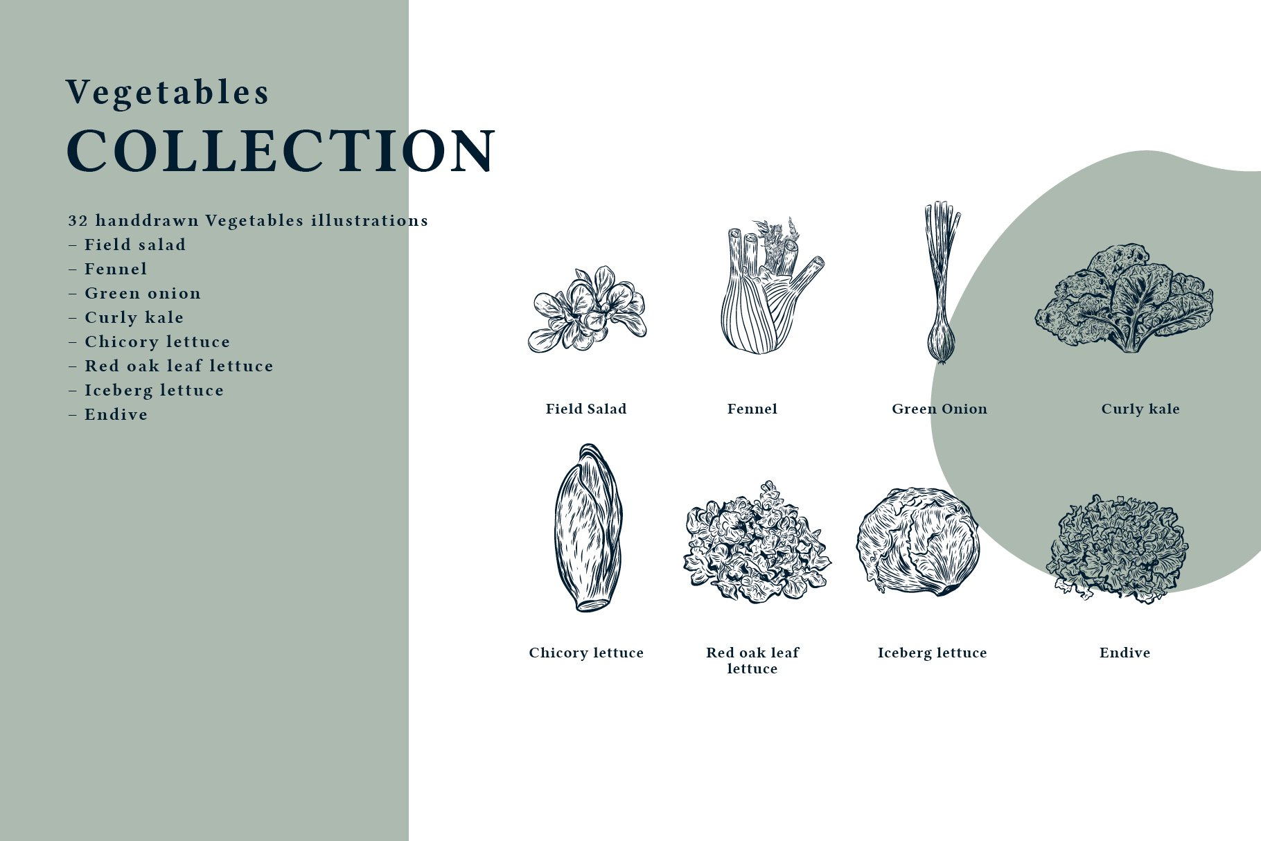 16 cm prasentation illustration vegetables4 343