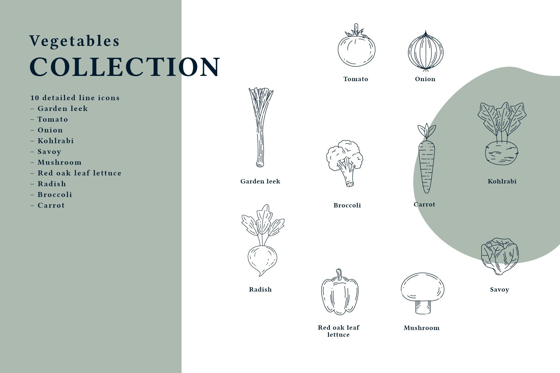 16 cm prasentation illustration vegetables5 977