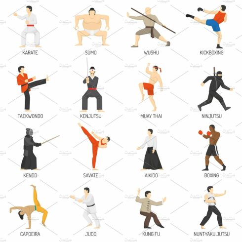 Martial arts decorative flat icons cover image.