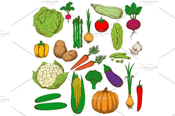 Farm fesh vegetables set cover image.