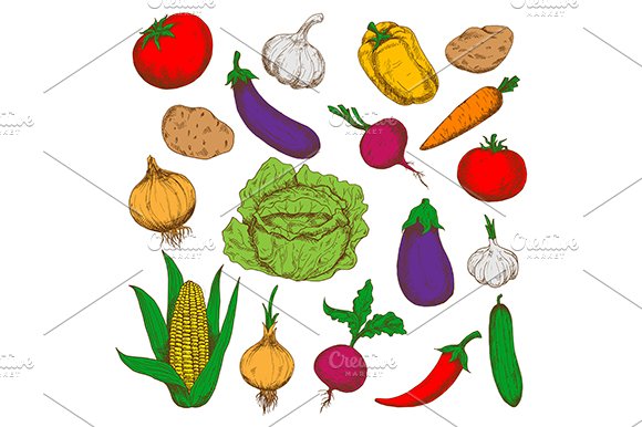 Colorful sketched vegetables cover image.