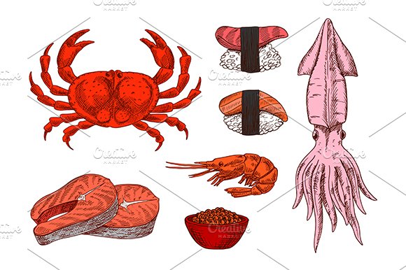 Colored sketched seafood cover image.