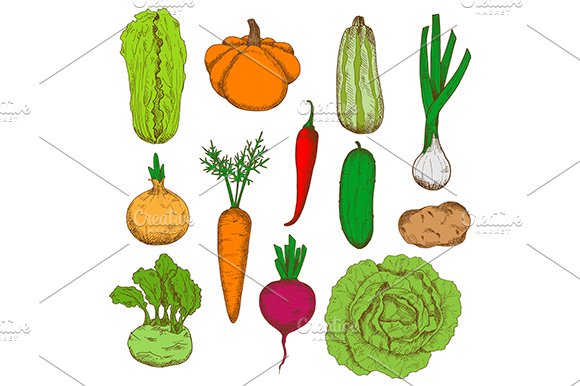 Fresh harvested veggies set cover image.