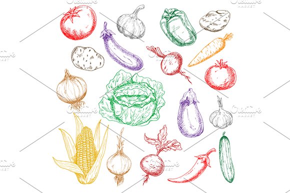 Fresh farm vegetables sketches set cover image.