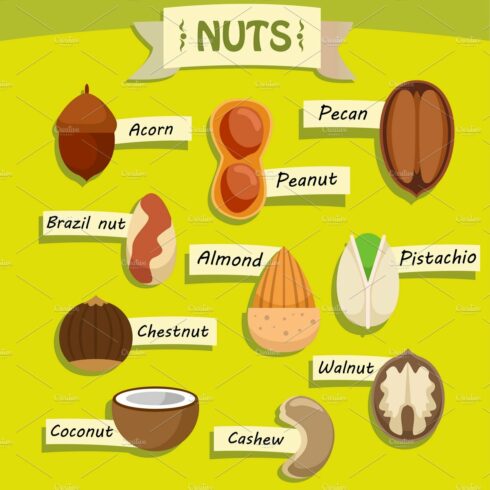 Flat Natural Nuts Elements Set cover image.