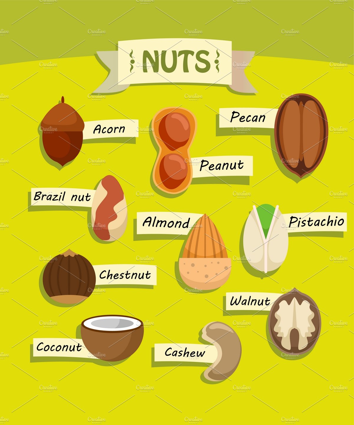 Flat Natural Nuts Elements Set cover image.