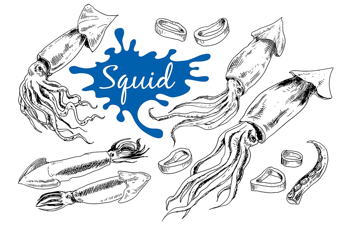 Squid. Hand drawn ink set cover image.