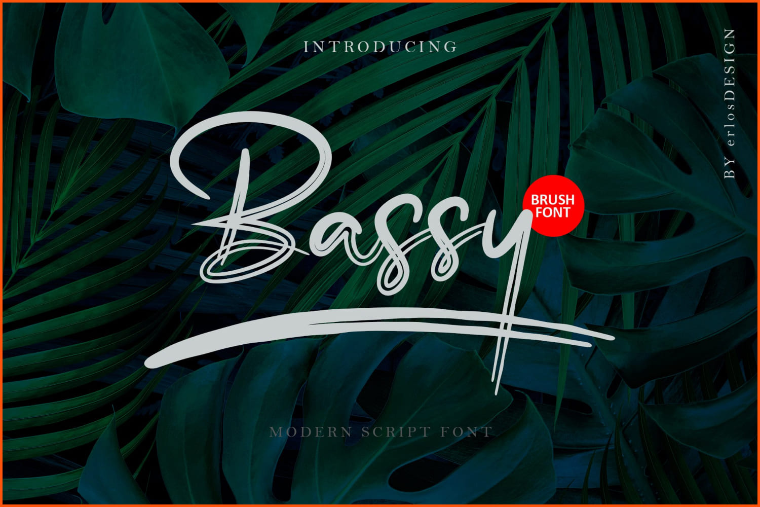 White text Bassy on green leaves background.