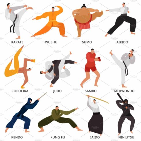 Martial arts fighters icons set cover image.