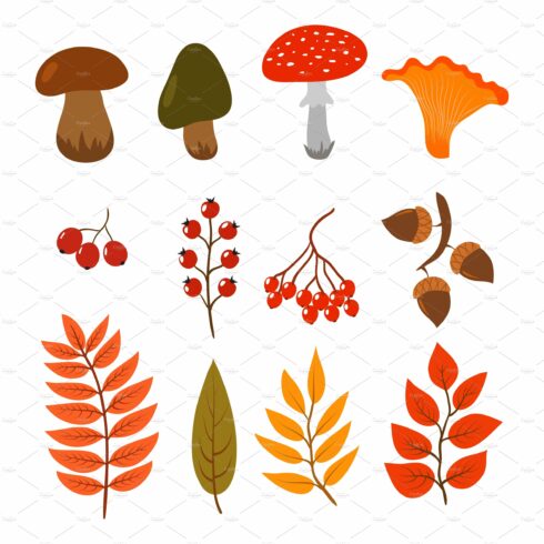 Autumn leaves, mushrooms and berries cover image.
