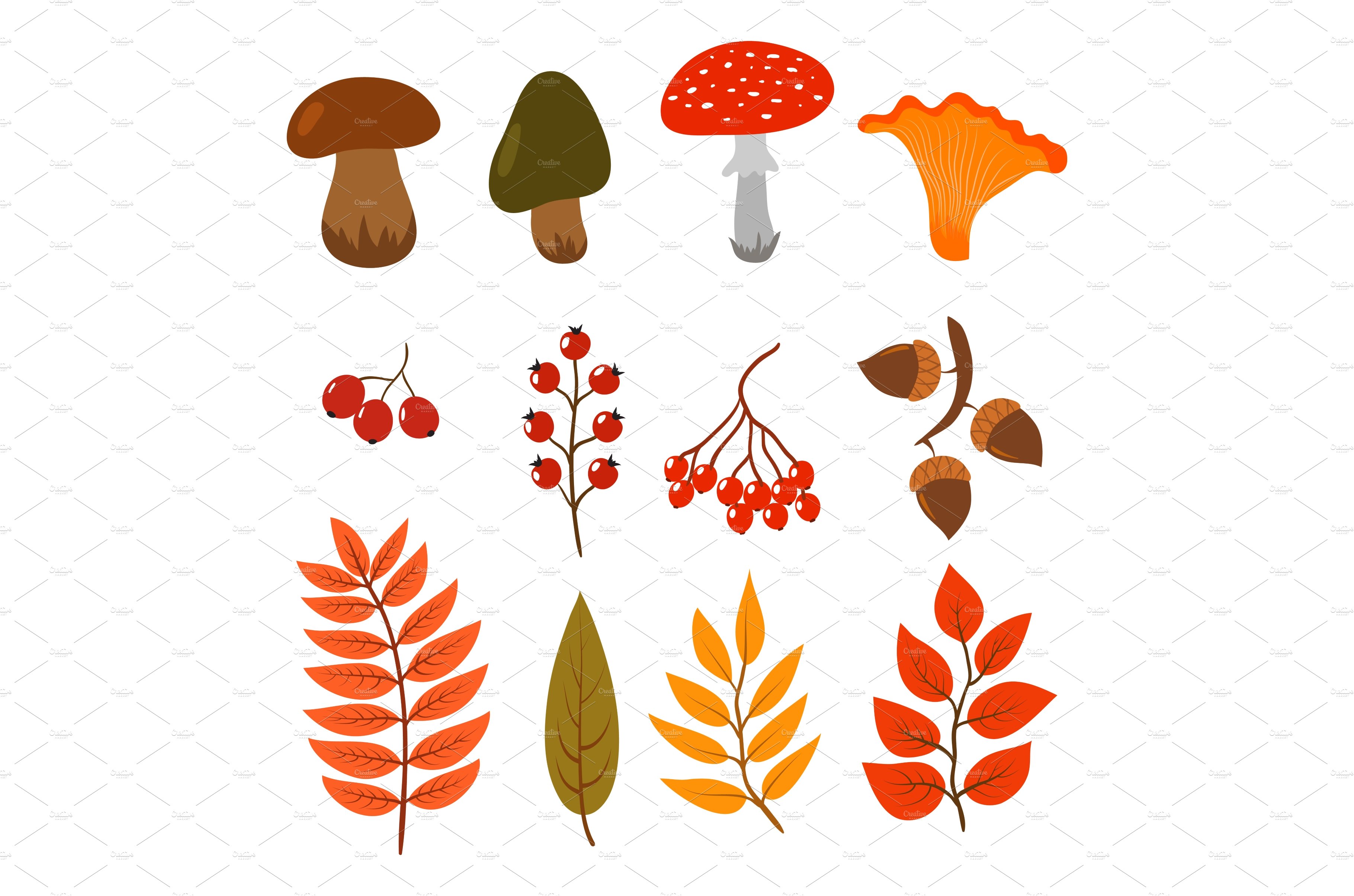Autumn leaves, mushrooms and berries cover image.