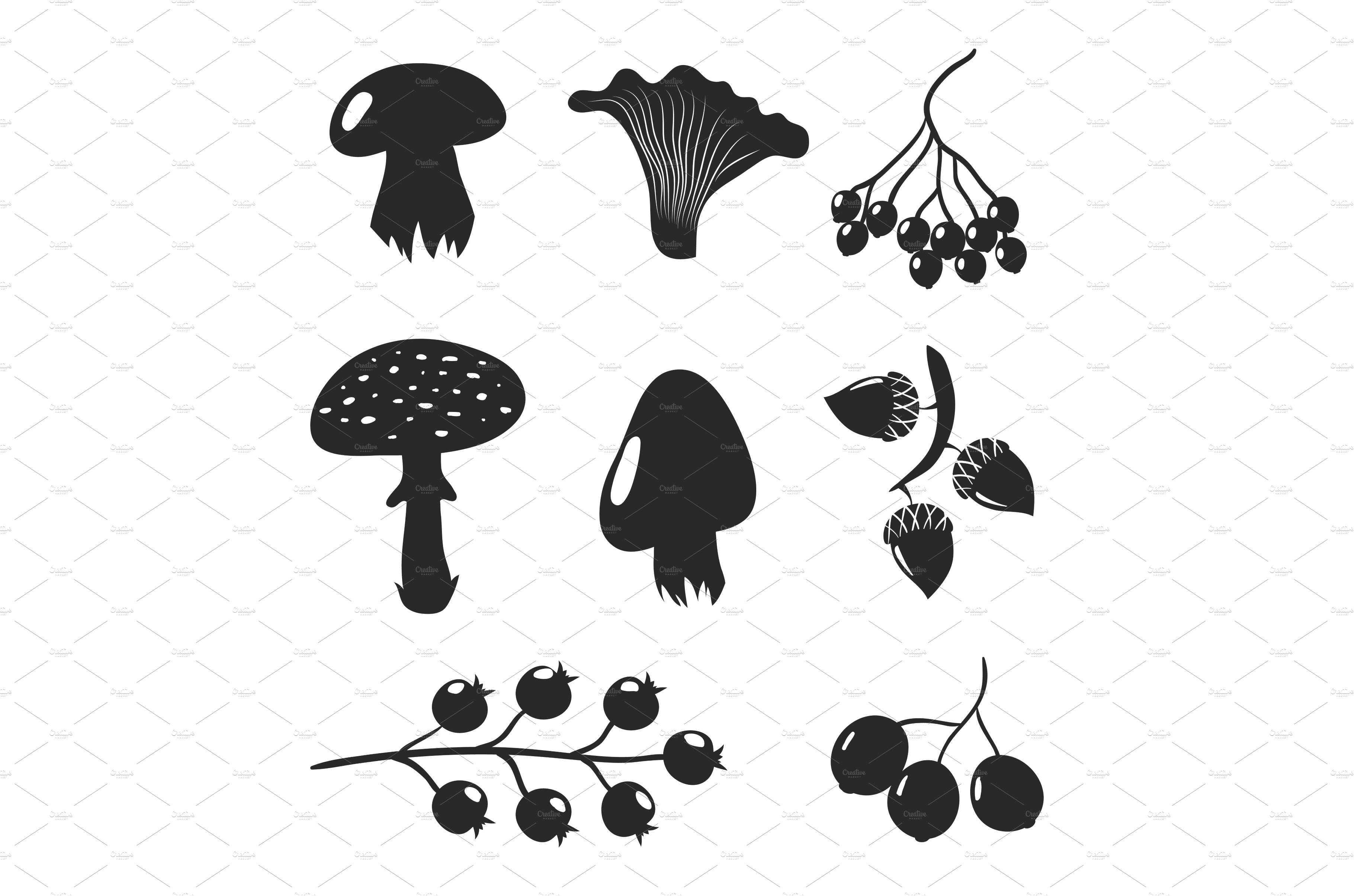 Mushrooms and berries black cover image.