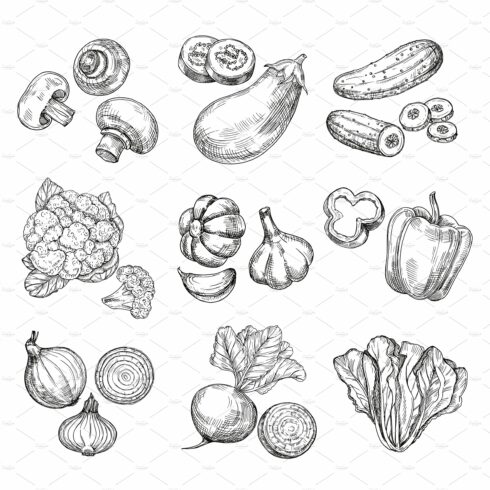 Hand drawn vegetables. Garden cover image.