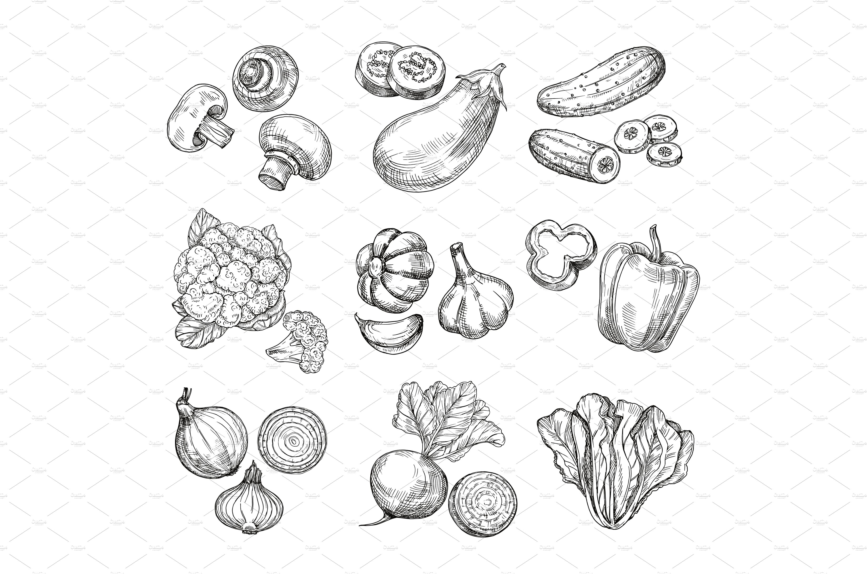 Vegetable market graphic black white sketch illustration vector Stock  Vector Image & Art - Alamy