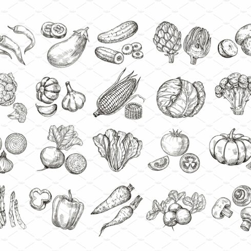Sketch vegetables. Vintage hand cover image.