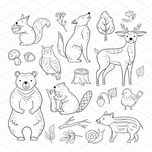 Doodle forest animals. Woodland cute cover image.