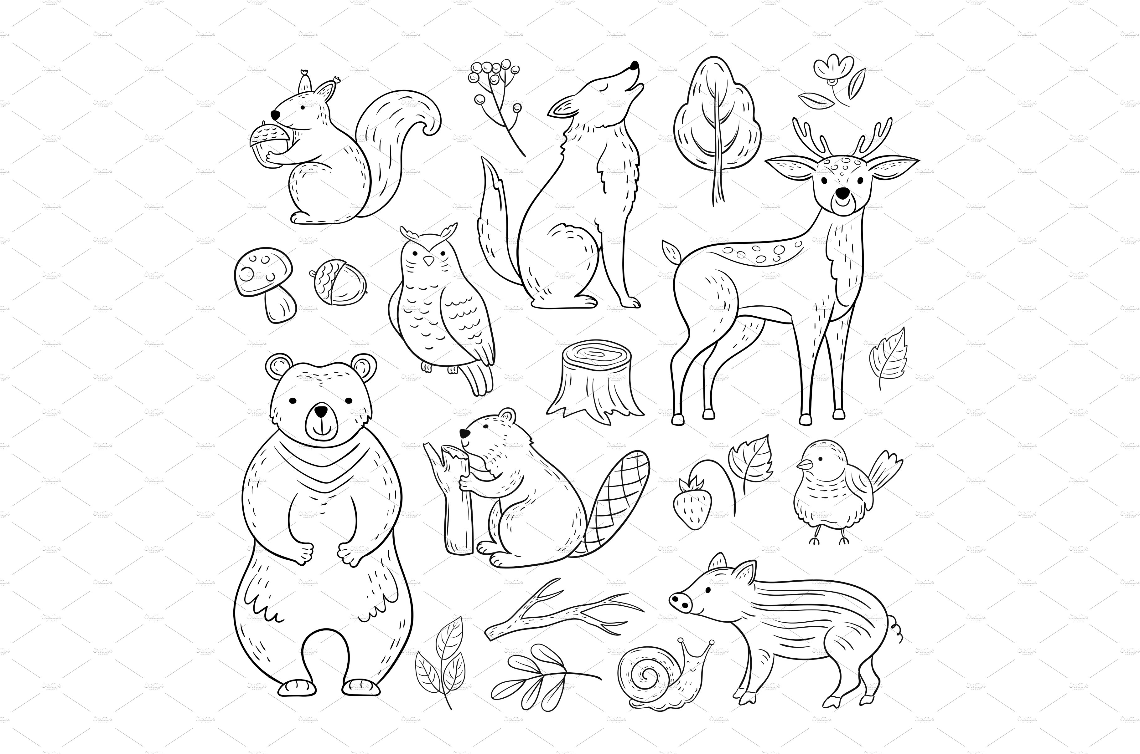 Doodle forest animals. Woodland cute cover image.