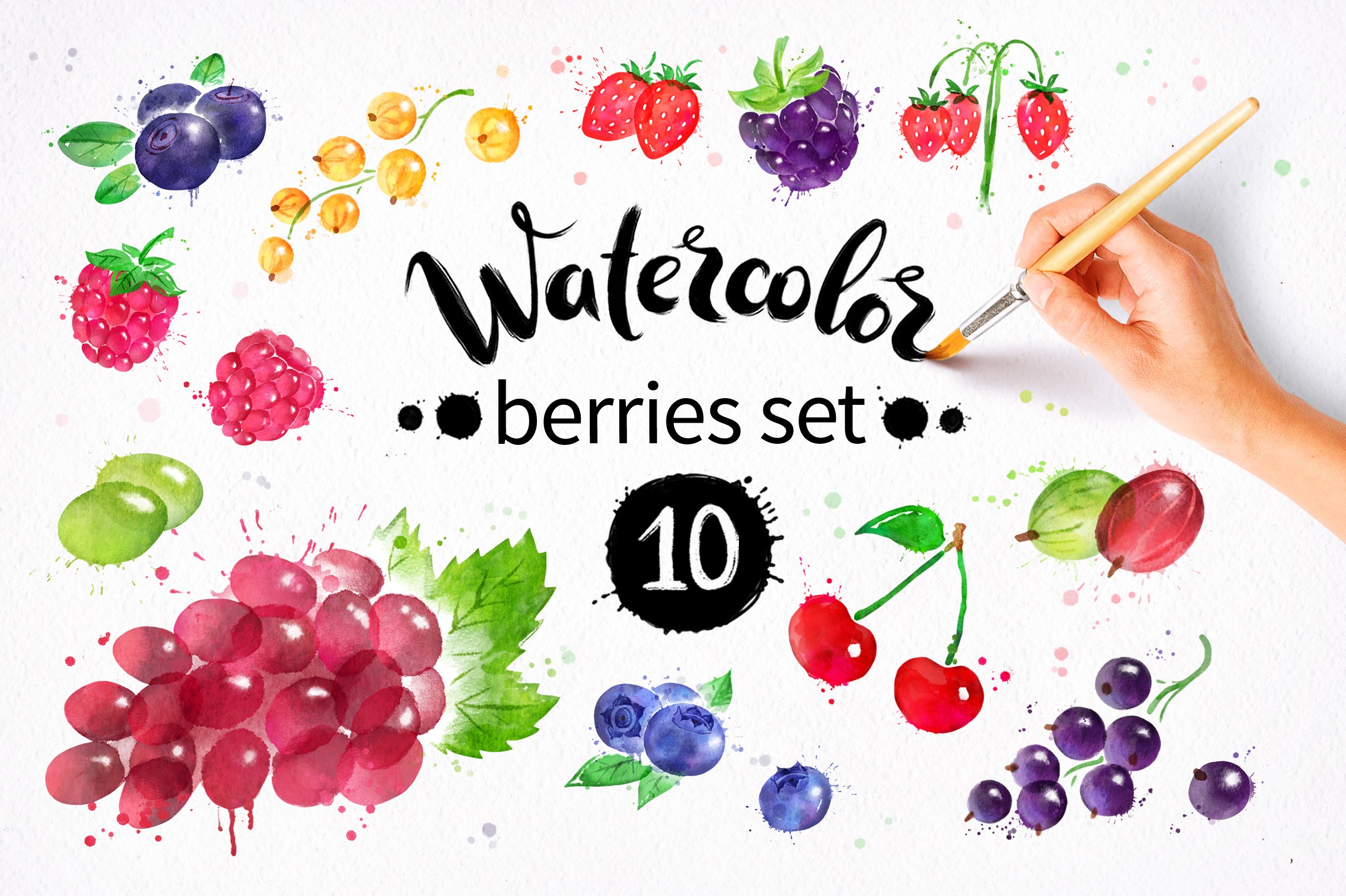 Berries Watercolor Collection cover image.