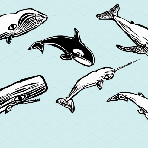 Whale Group cover image.