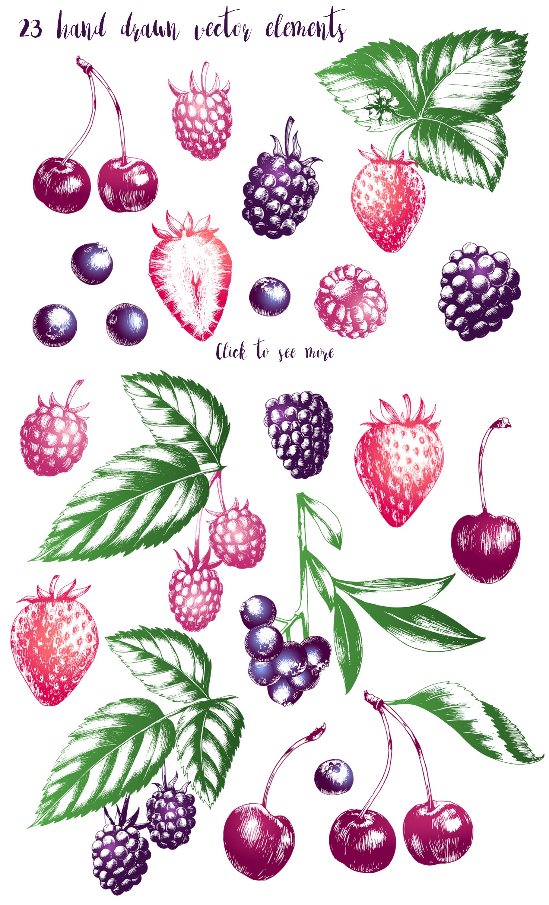 Vector berries collection preview image.
