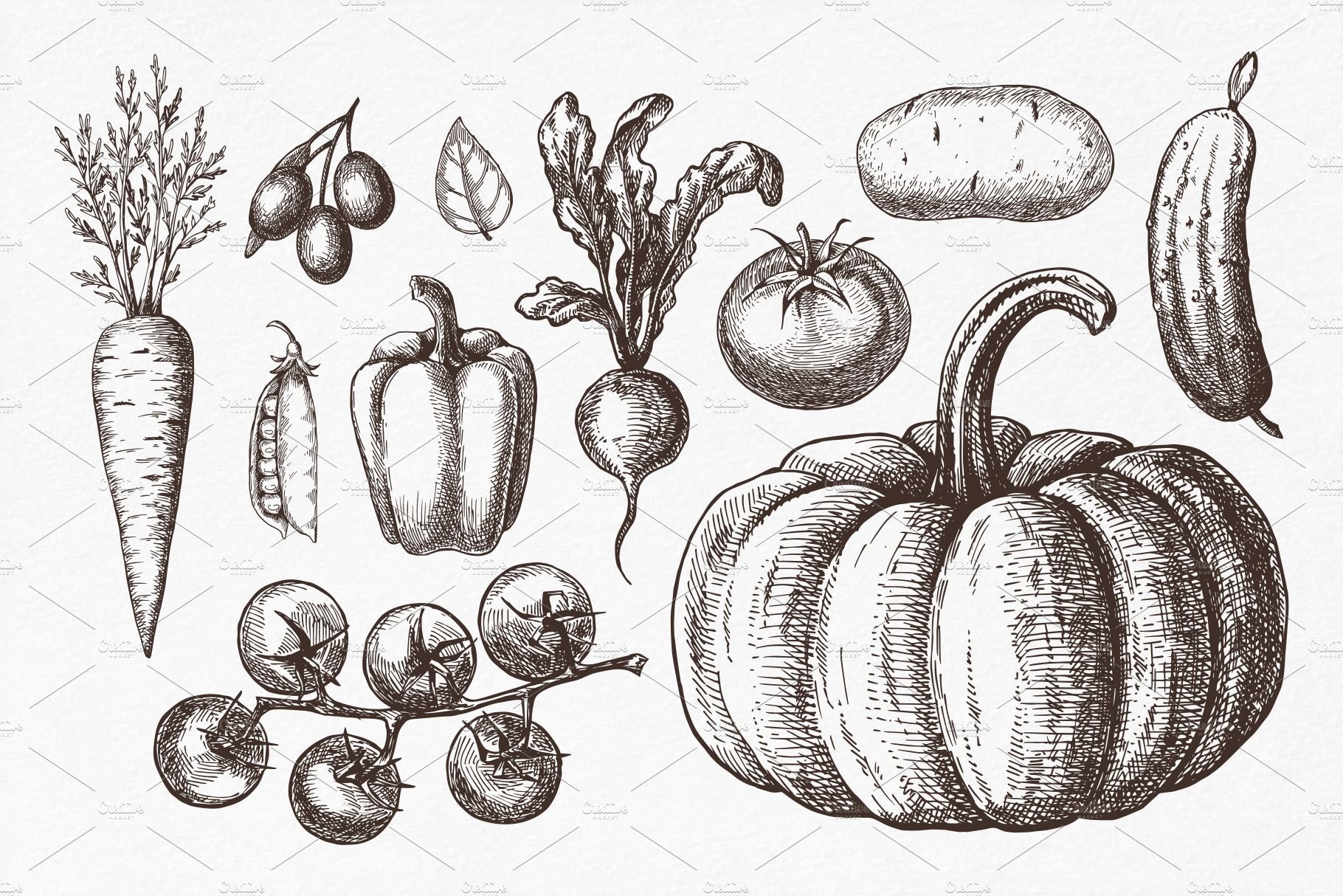 Vegetables. Hand drawn collection. preview image.