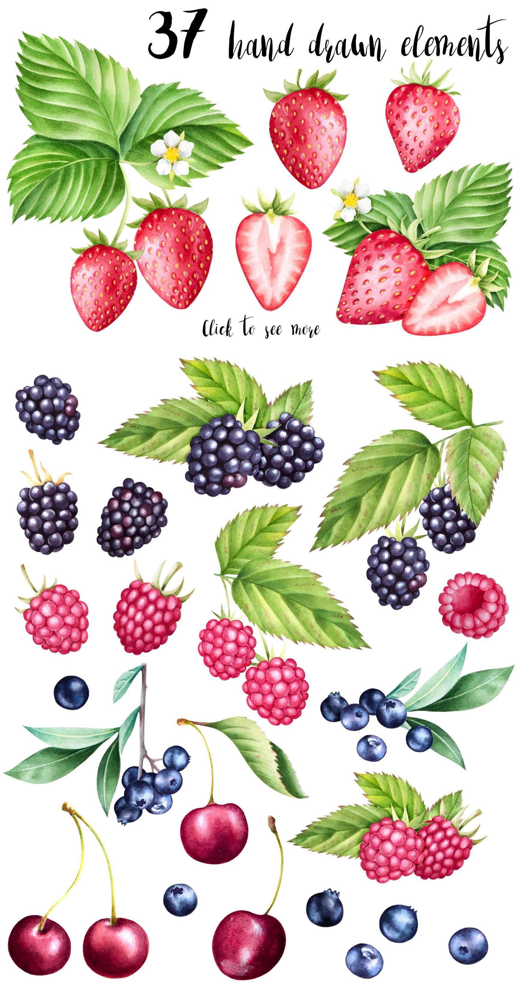 Watercolor berries collection preview image.