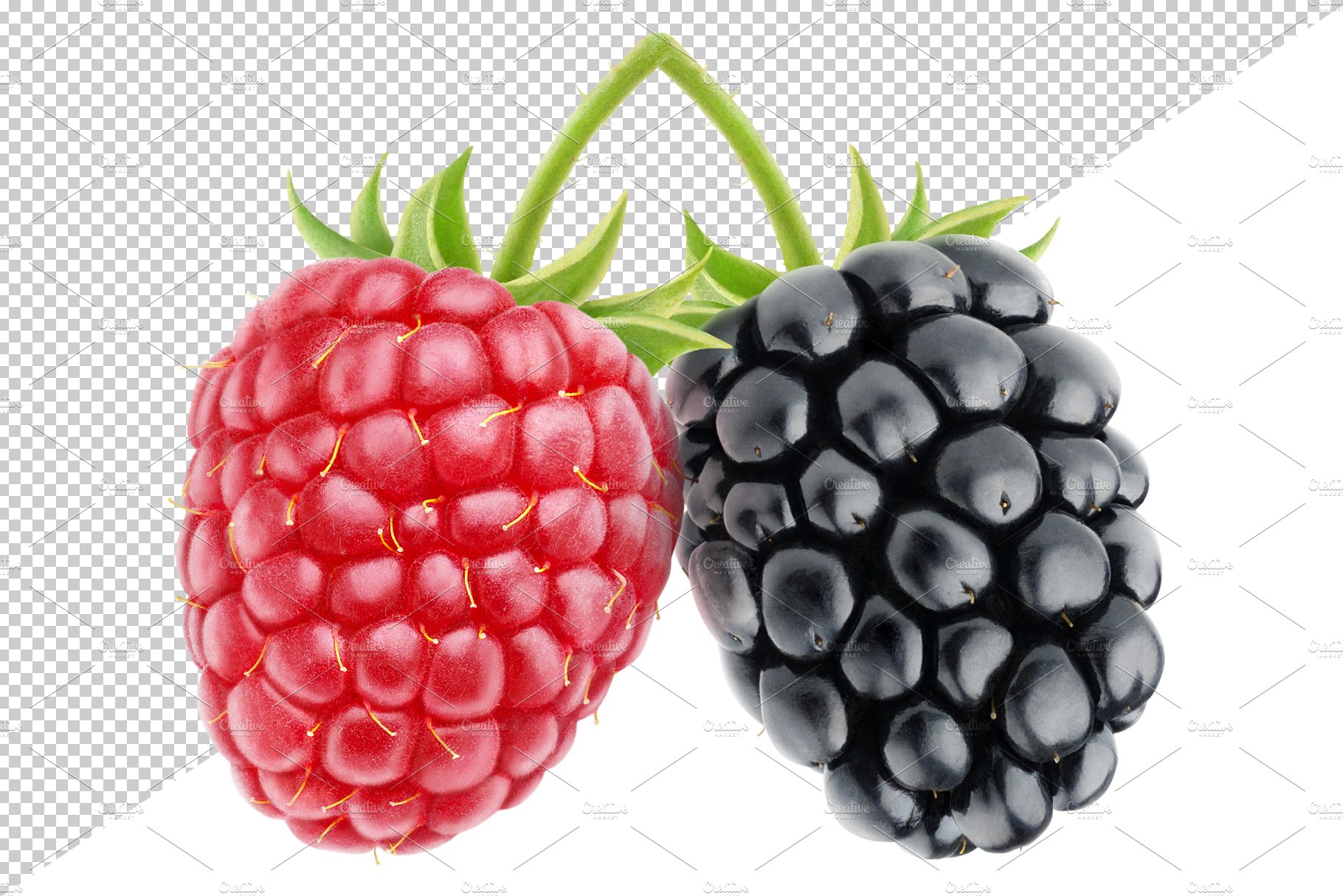 Blackberry and raspberry preview image.