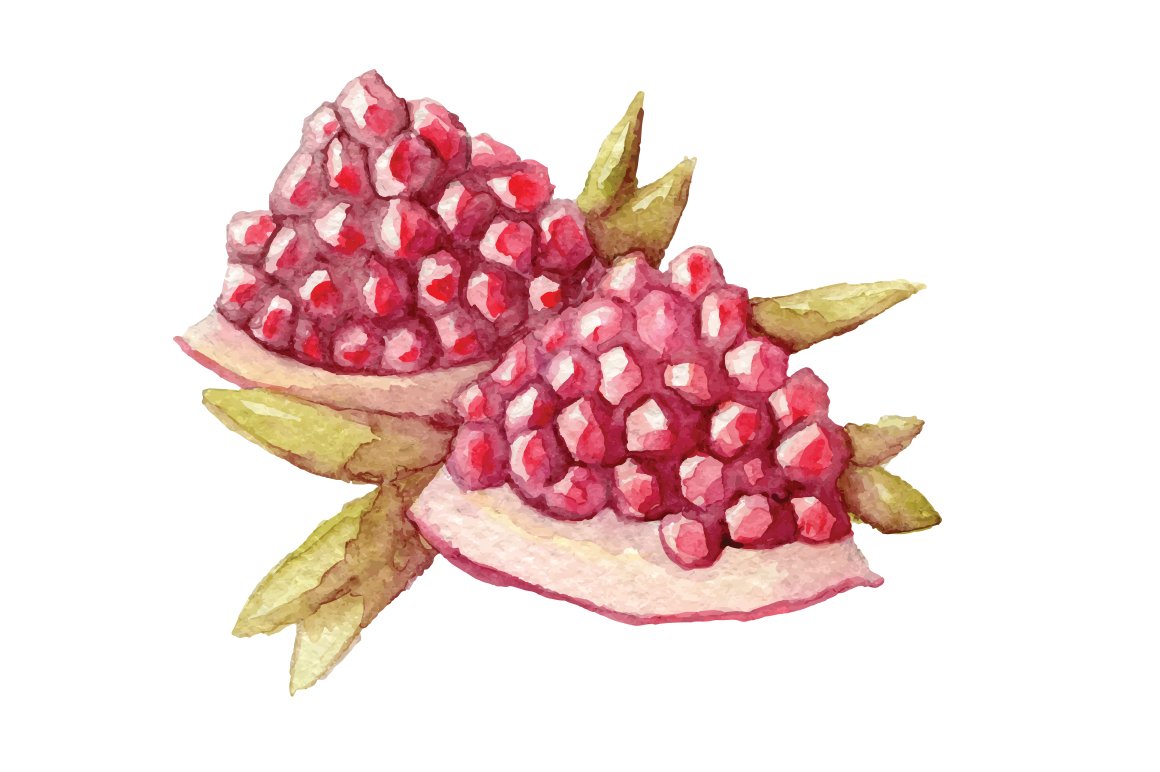 Watercolor berries vectorized preview image.