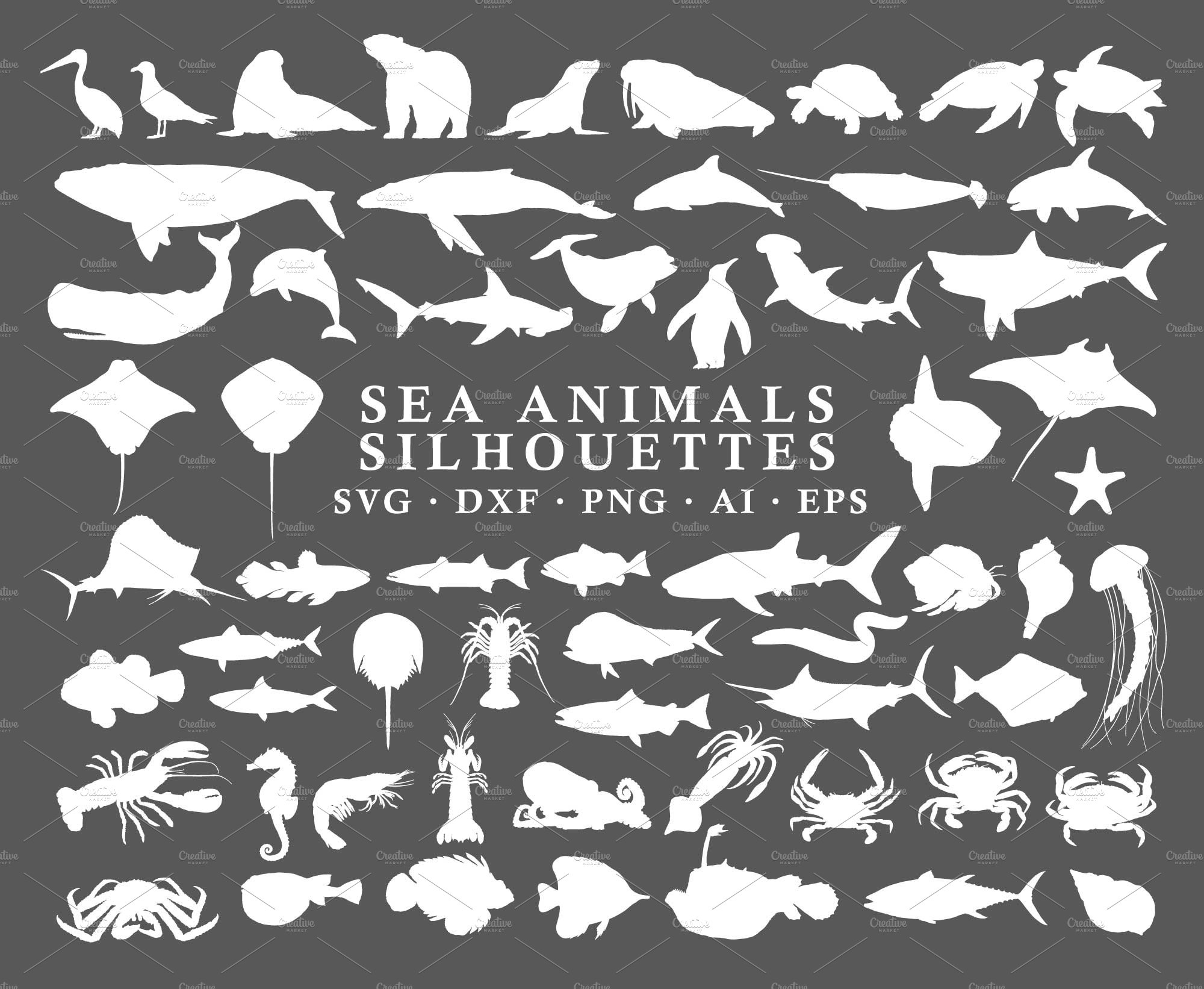 Sea Animals Silhouettes Vector Pack preview image.