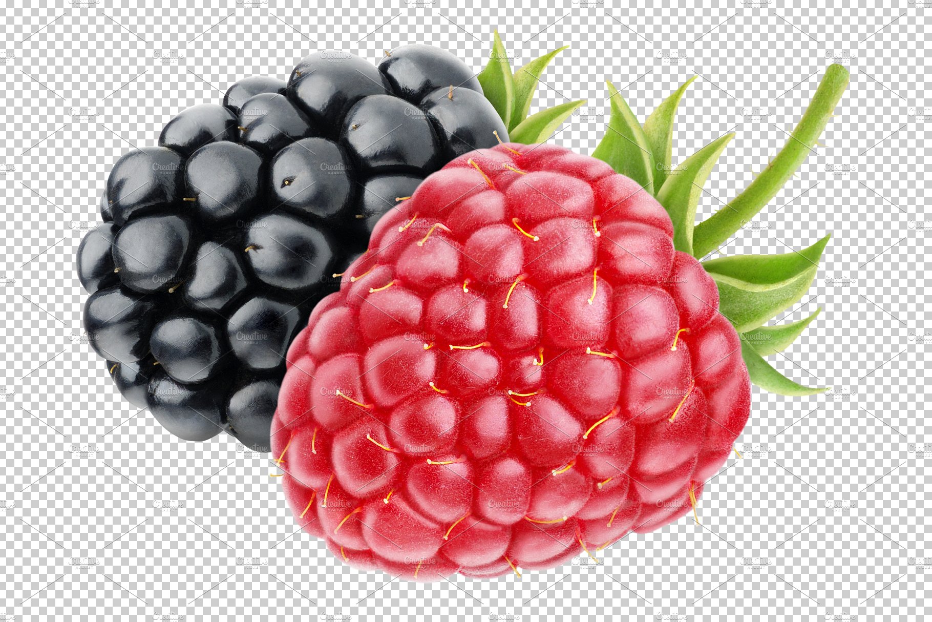 Raspberry and blackberry preview image.