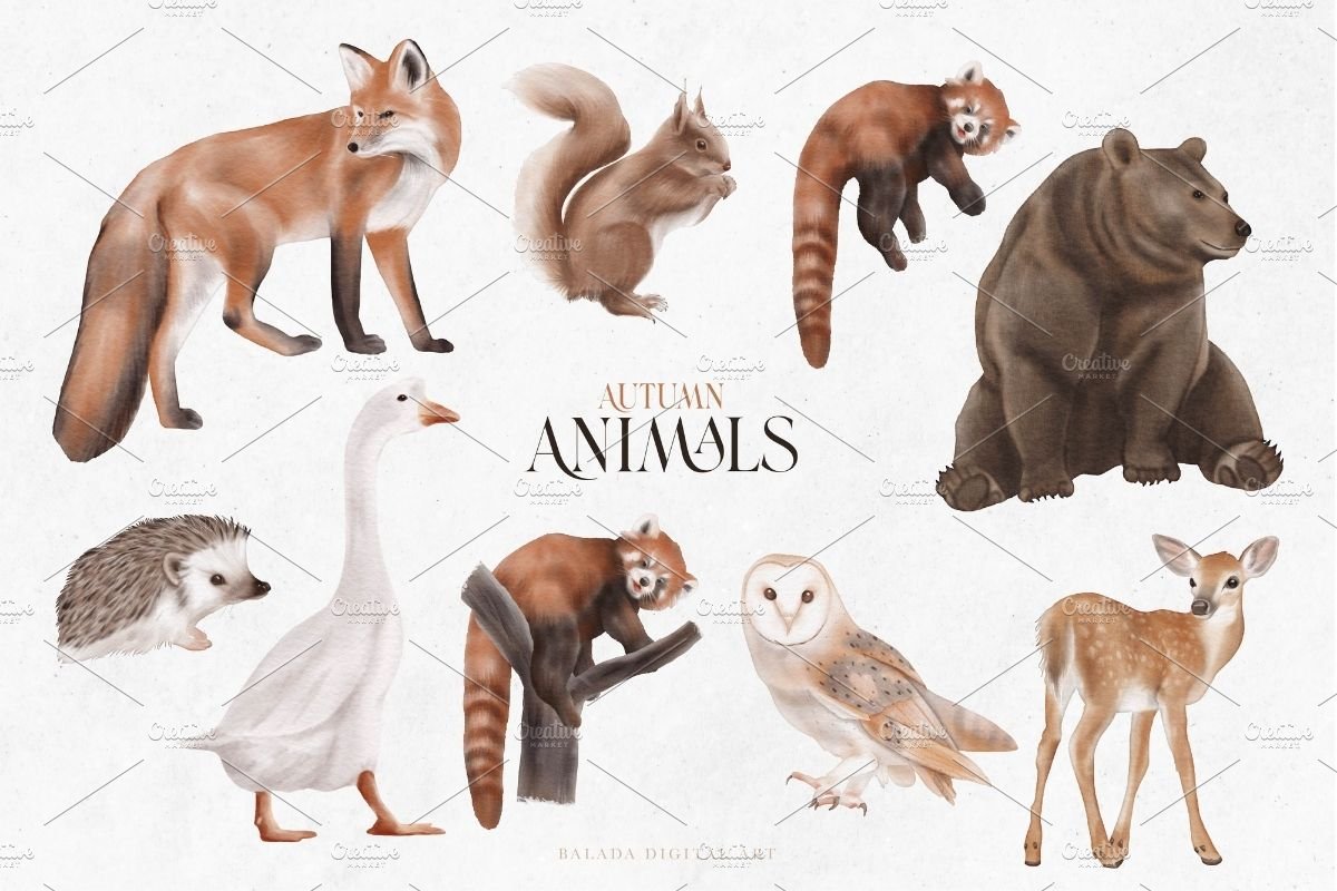 Watercolour Autumn Animals PNG preview image.