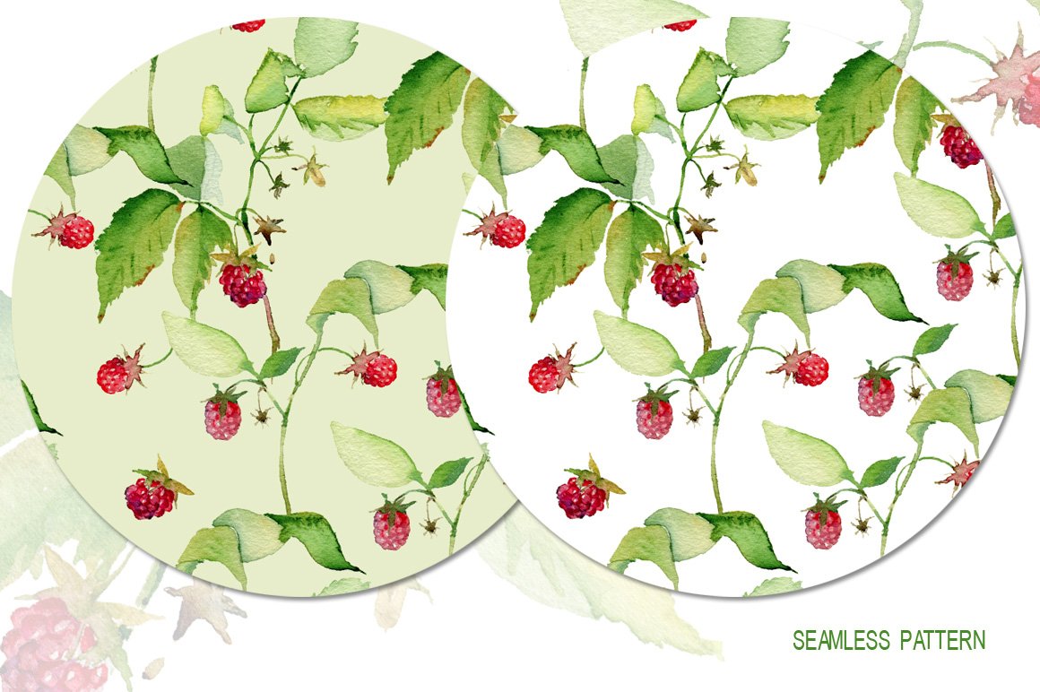 Raspberries isolated & 2 patterns preview image.