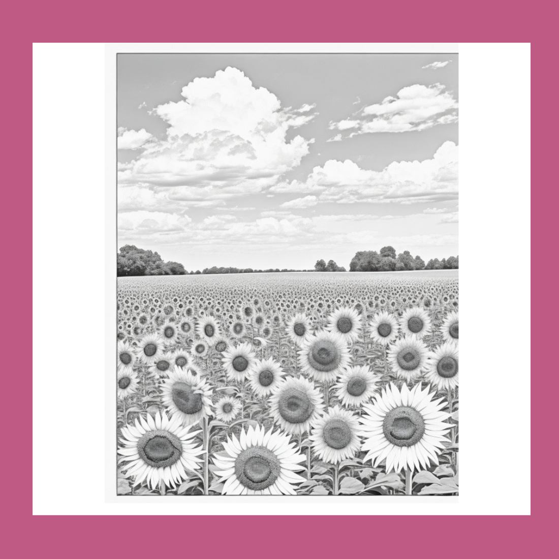 A field of sunflowers with a blue sky and white clouds coloring page 4 preview image.