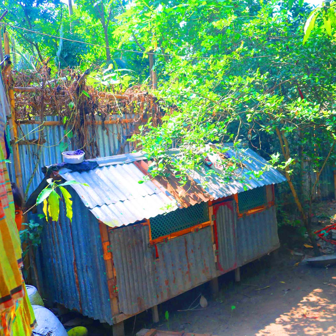 Ghar Tree village people & roads stock photos in Bangladesh preview image.