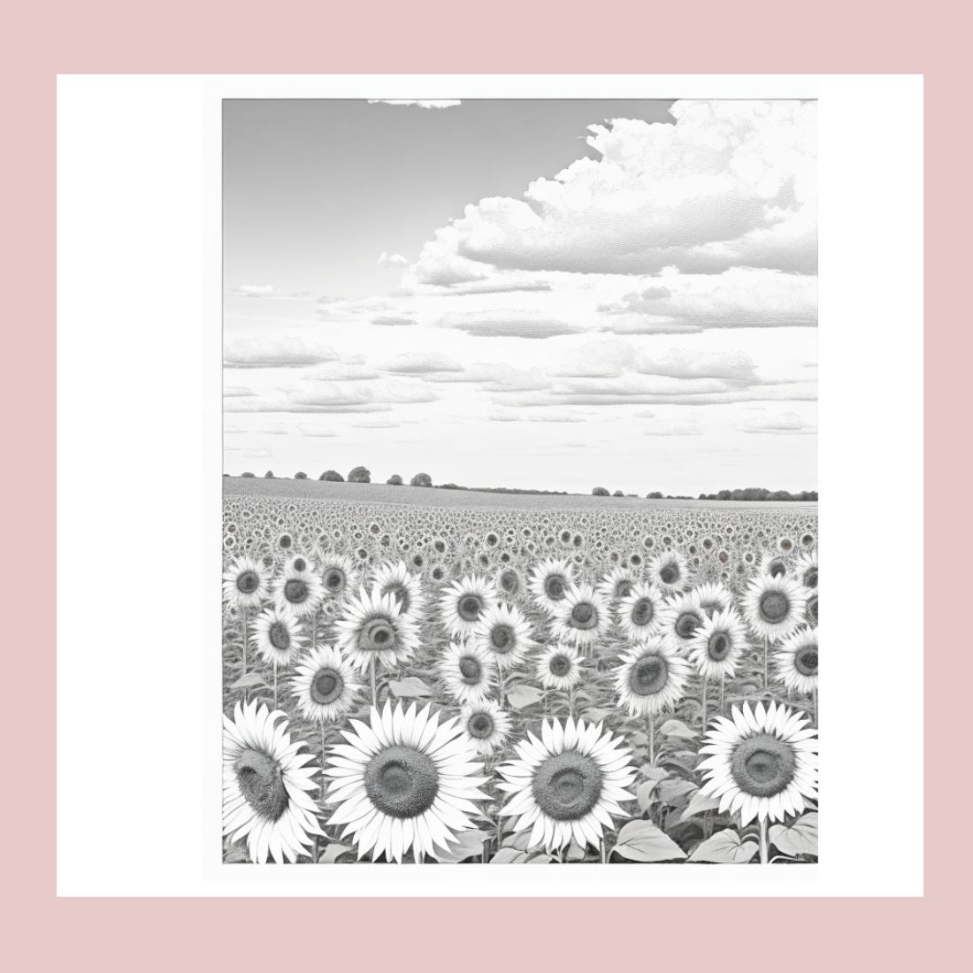 A field of sunflowers with a blue sky and white clouds coloring page preview image.