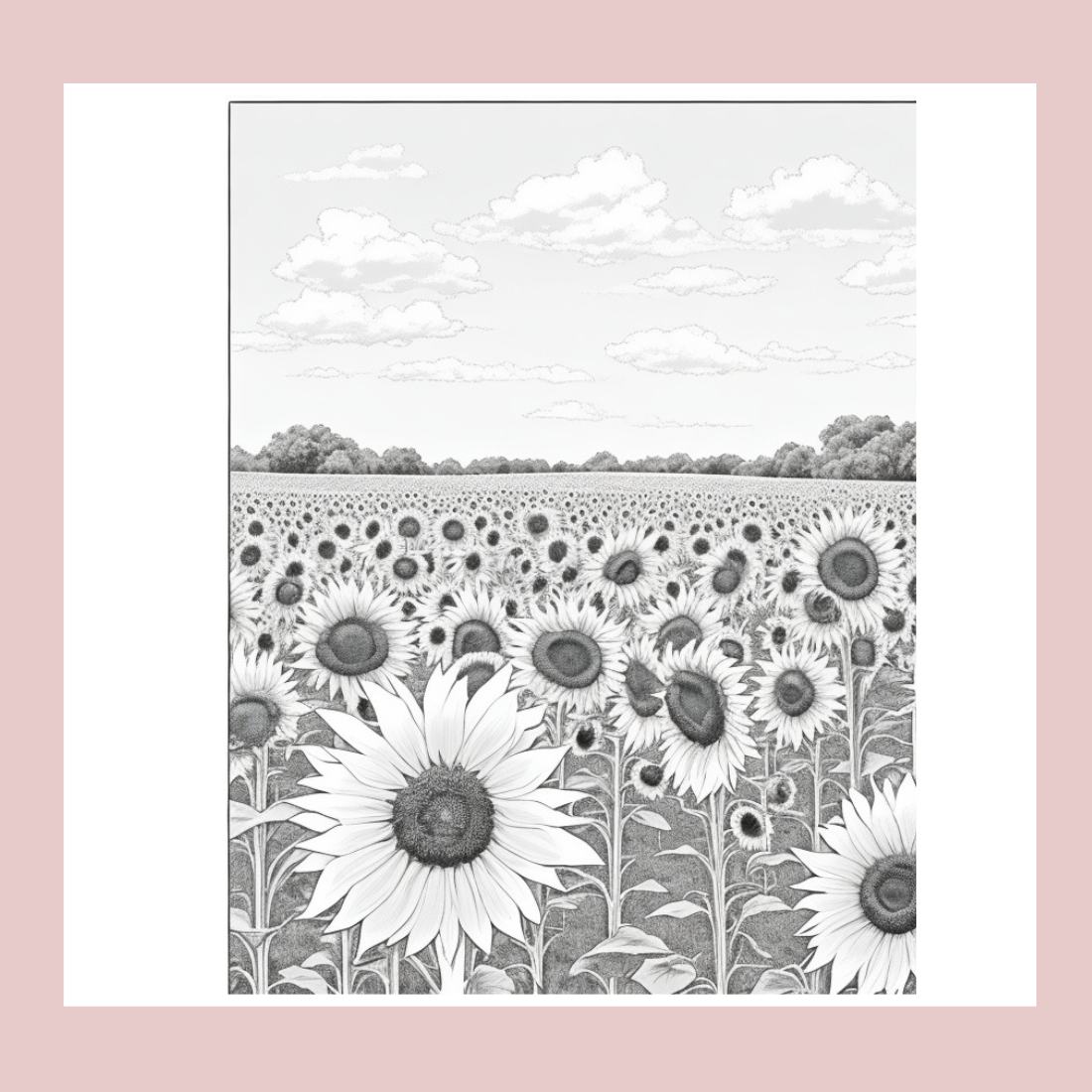 A field of sunflowers with a blue sky and white clouds coloring page preview image.