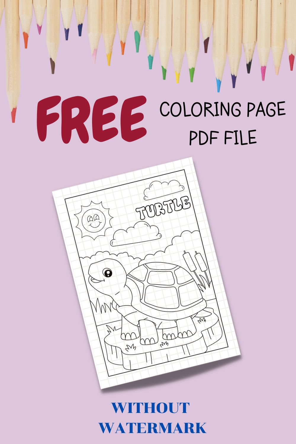 FREE TURTLE COLORING PAGE pinterest preview image.