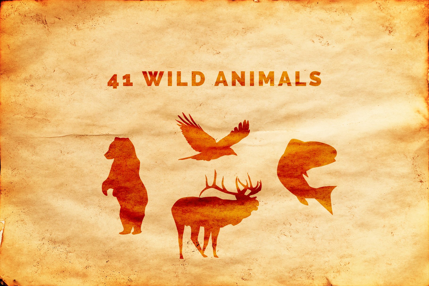 Wild Animals of North America preview image.