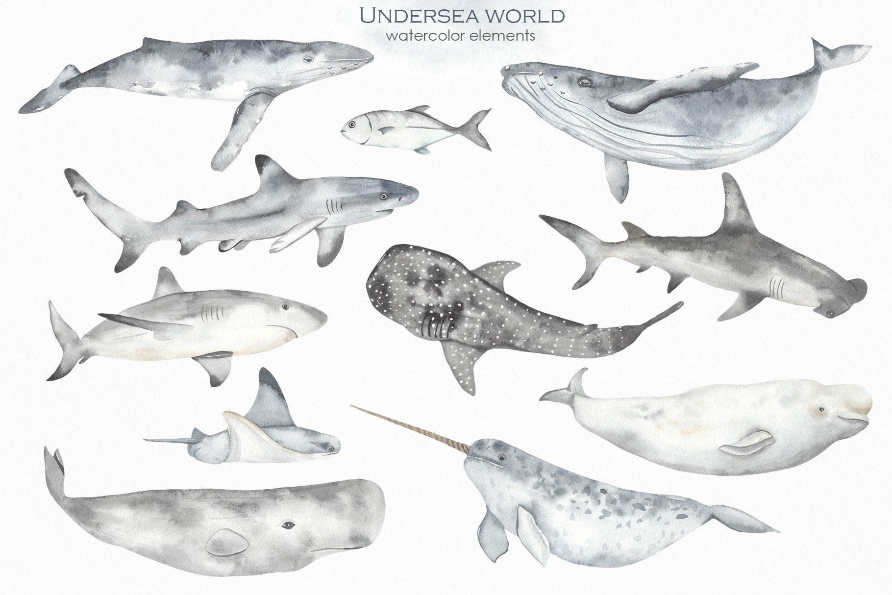 Undersea world Watercolor preview image.