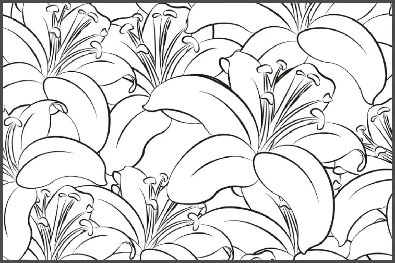 Large flowers drawn with black lines.