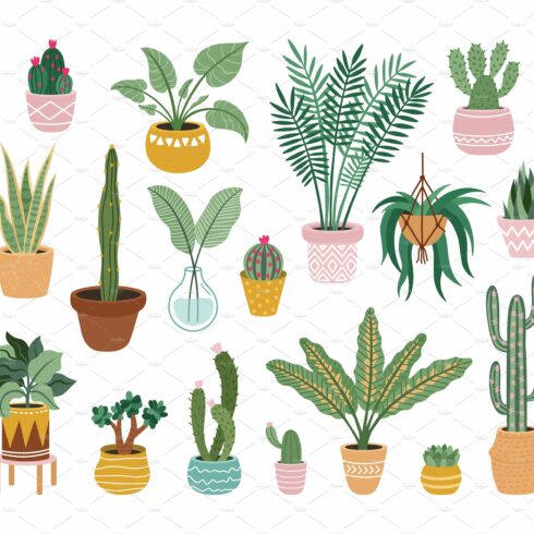 Plant in pots. Home potted plants cover image.