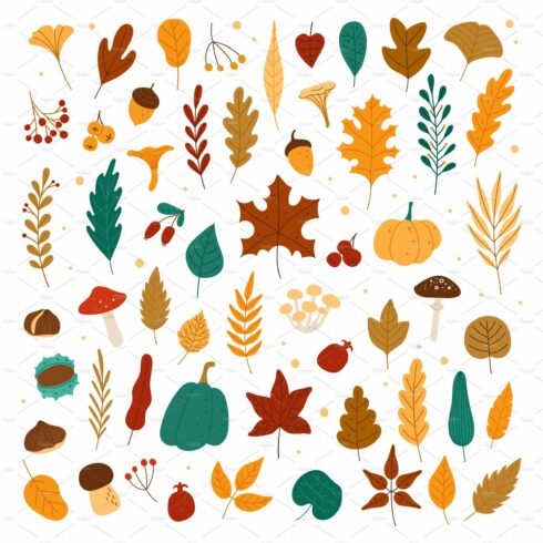 Autumn elements. Leaves, acorns cover image.