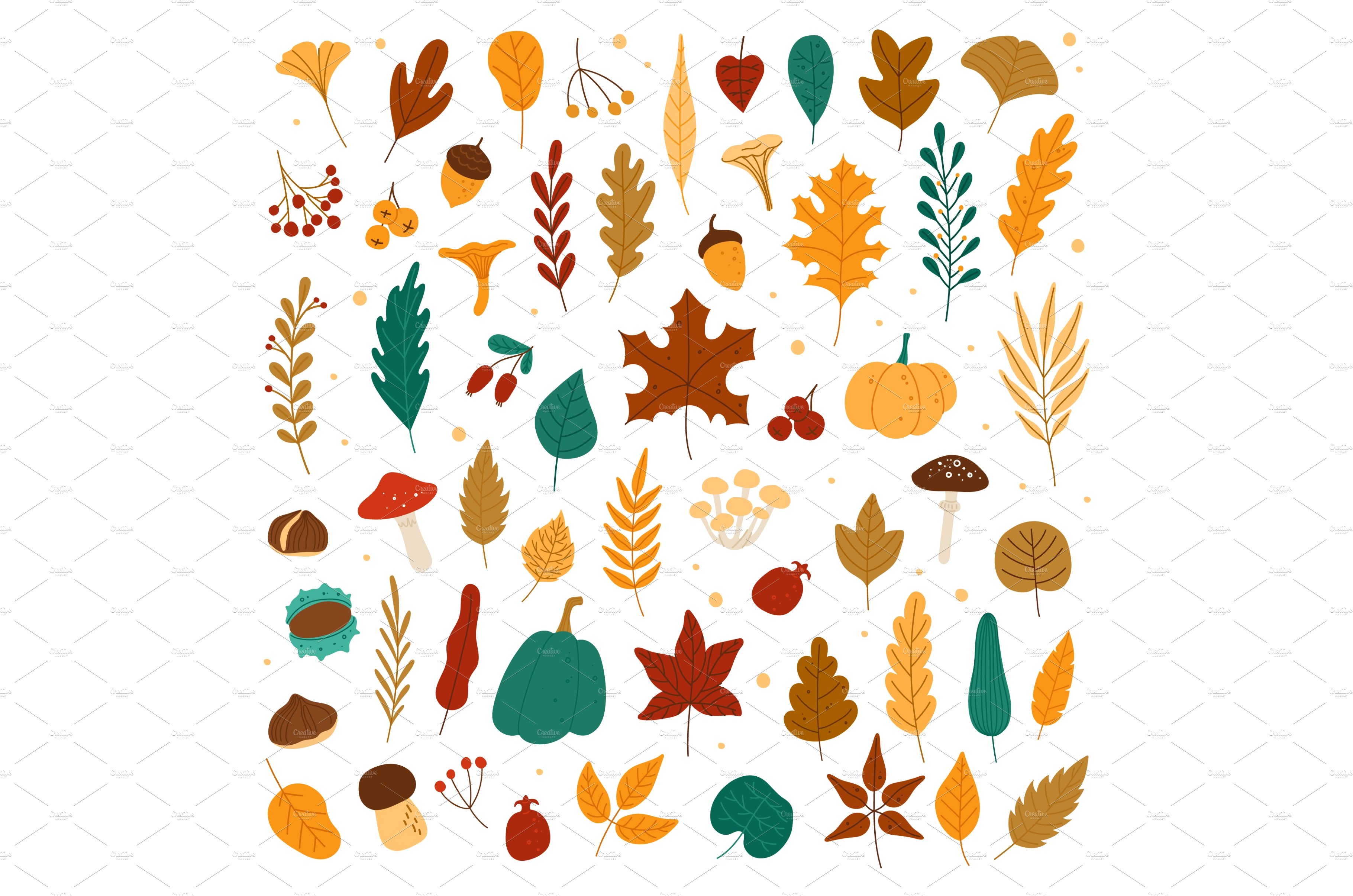 Autumn elements. Leaves, acorns cover image.